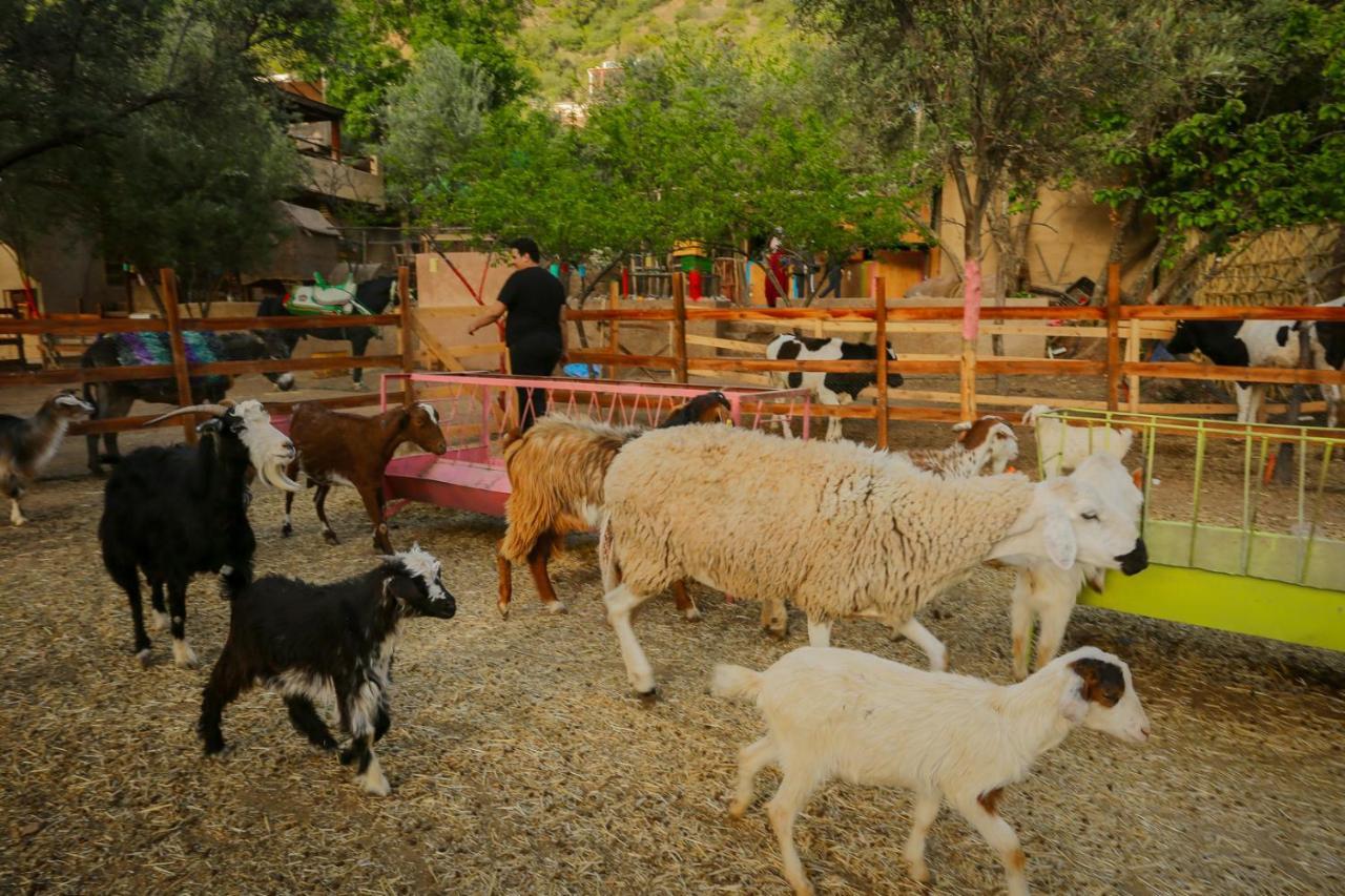 Ferme By Ikalimo Ξενοδοχείο Ourika Εξωτερικό φωτογραφία