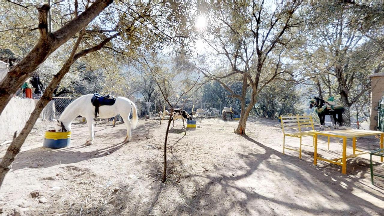 Ferme By Ikalimo Ξενοδοχείο Ourika Εξωτερικό φωτογραφία
